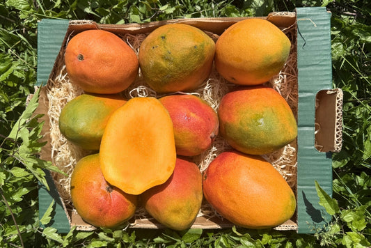 Mango Kent Ready to eat 4kg Retterbox %