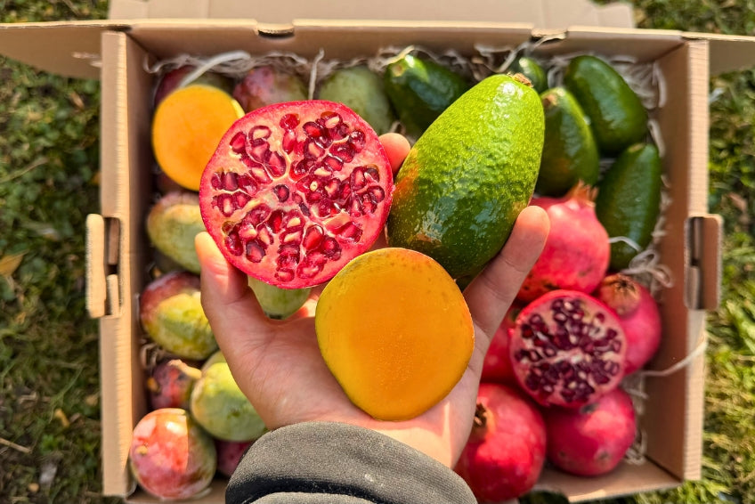 Mini Mango-Avocado-Granatapfel Bio Rettungsaktion % 4kg – Produktansicht 2
