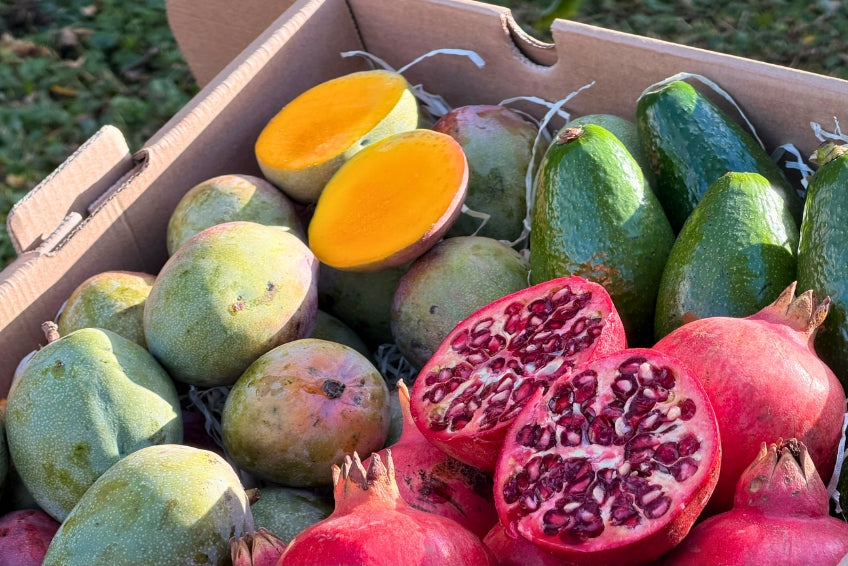 Mini Mango-Avocado-Granatapfel Bio Rettungsaktion % 4kg – Produktansicht 3