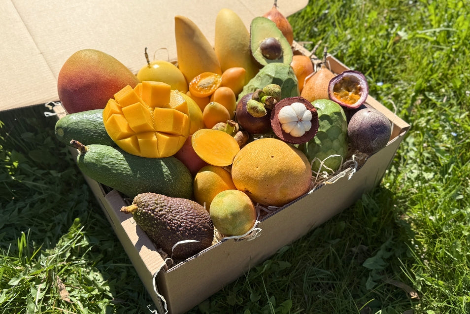 Tropical Obsession Box