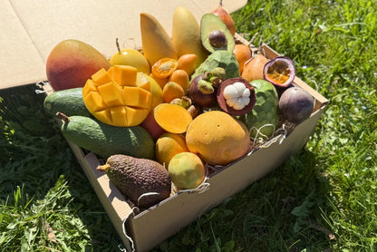 Tropical Obsession Box