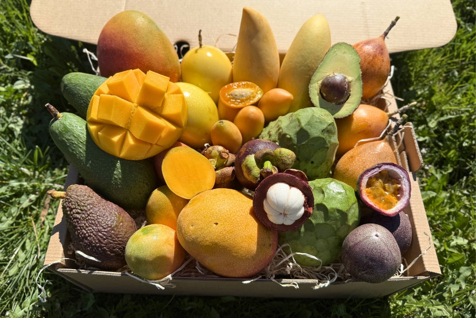 Tropical Obsession Box