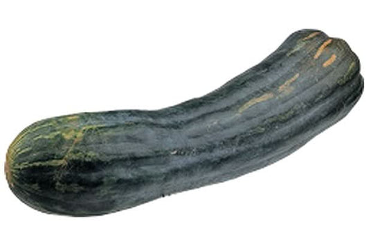 Kürbis Bio "Langer von Neapel" regional