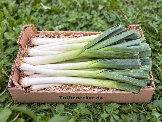Lauch bio regional Bioland aus Bayern