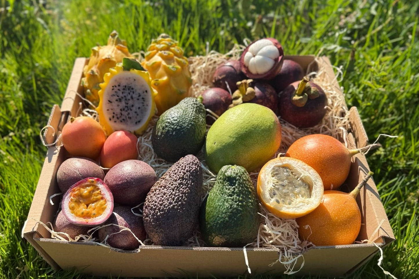 Exotische Früchtebox "Lieblingsfrüchte"