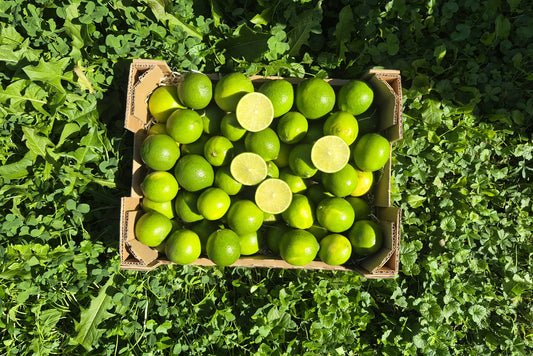Limetten Bio aus Andalusien mit Schale verwertbar