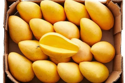 Mango Honig "Ataulfo" Premium Bio von Julian Aktionspreis % 1kg