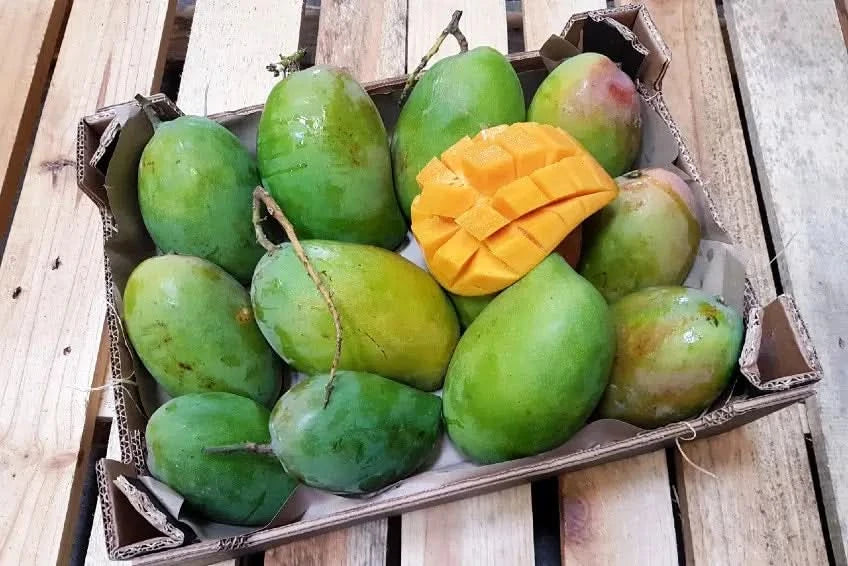 Bio Feijoa (brasilianische Guave) 500g