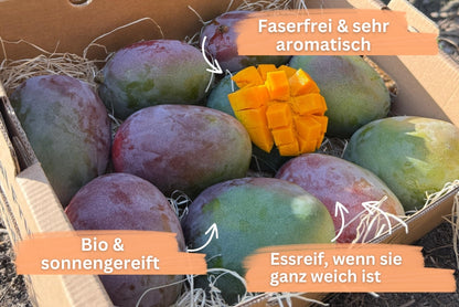 Mango Kent von Julian Sonderaktion %