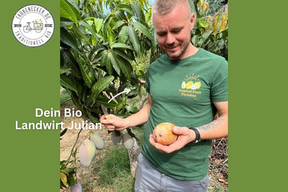 Mango "Handal Kok" Bio von Julian
