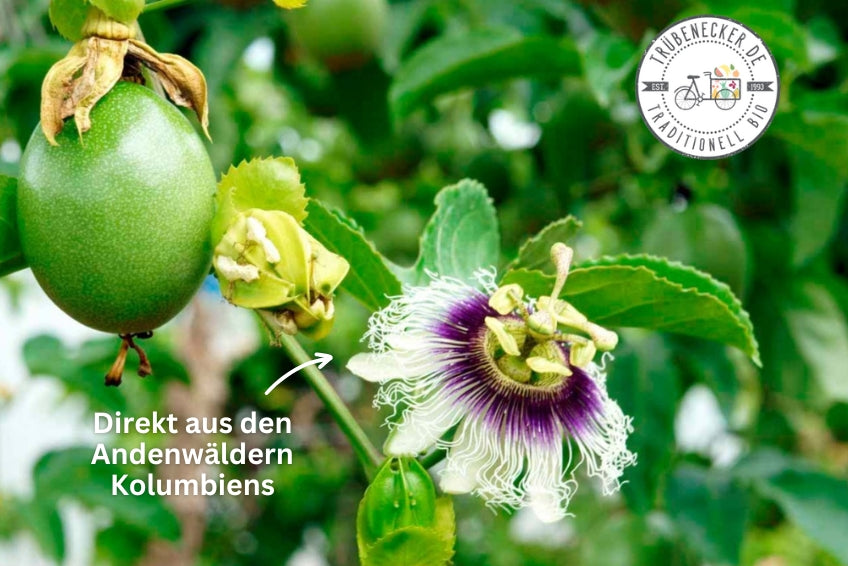 Passionsfrüchte von Julian Sonderaktion % 1,5kg