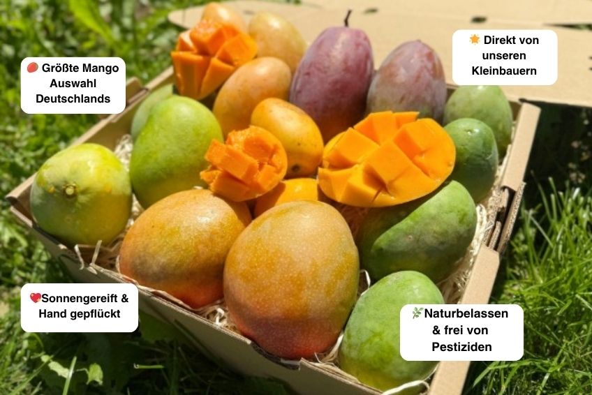 Mango-Späternte Mix von Julian Sparpreis %