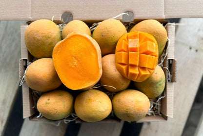 Mango "Gedong Gincu" baumgereift