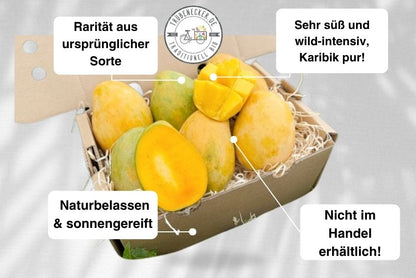 Mango Mingolo baumgereift Box 2kg