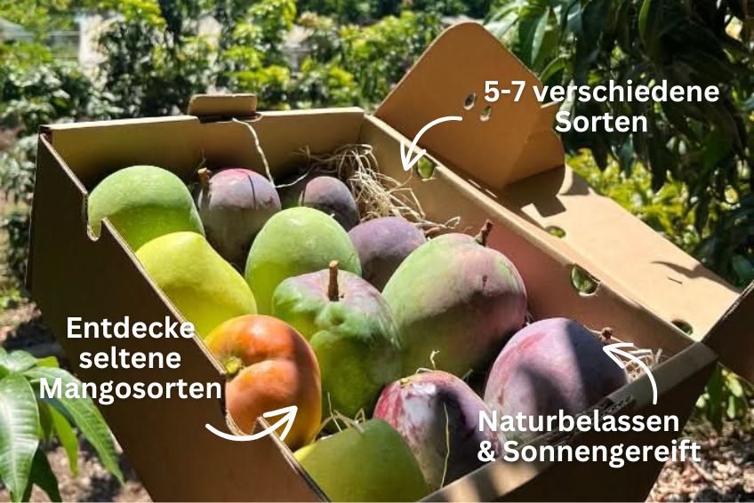 Mango-Raritäten Mix Box von Julian Farmerbox