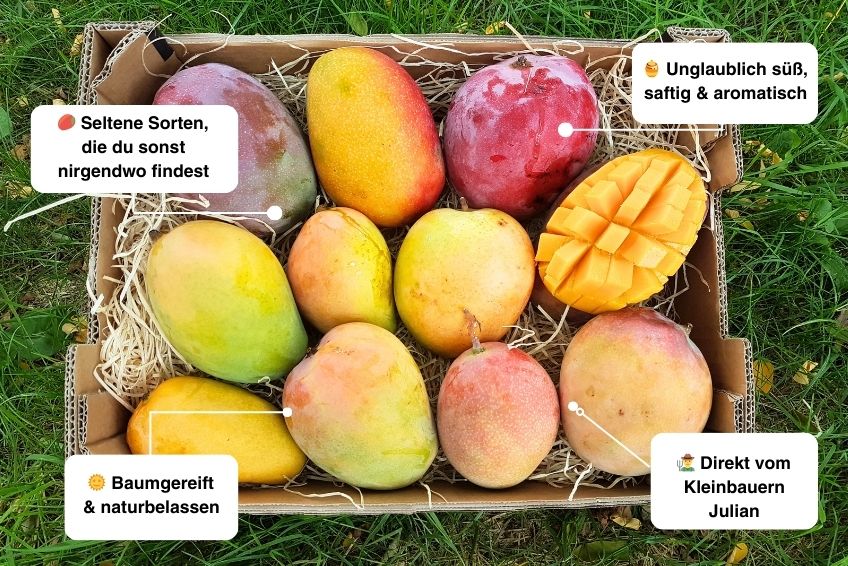 Mango-Raritäten Mix Box von Julian Farmerbox