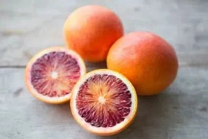 Blut-Orangen "Sanguinello" Bio Demeter Aktionspreis