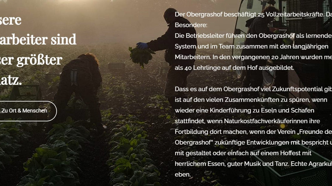 Wirsing Bio regional demeter vom Obergrashof