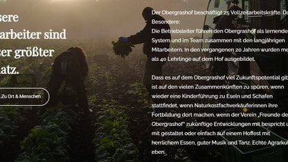 Wirsing Bio regional demeter vom Obergrashof