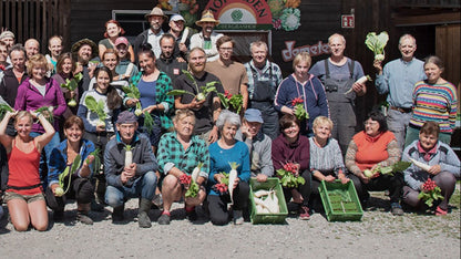 Radicchio Chioggia bio regional demeter vom Obergrashof