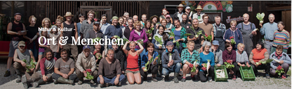 Wirsing Bio regional demeter vom Obergrashof