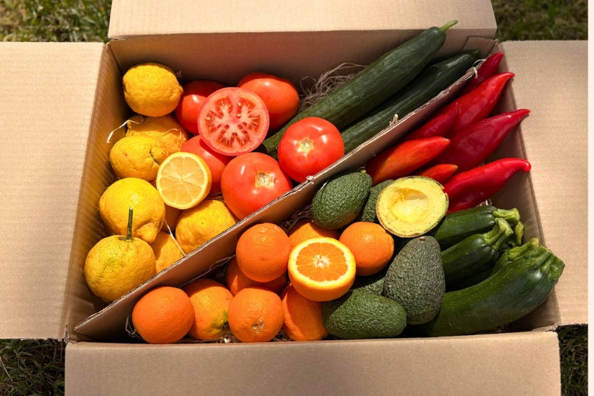 Bio Obst & Gemüse Retterbox 5kg