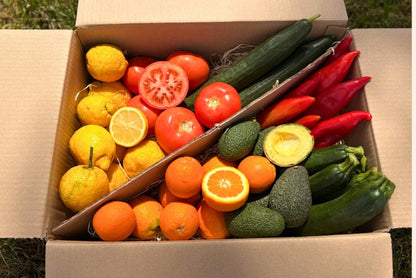 Bio Obst & Gemüse Retterbox 5kg