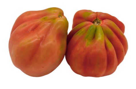 Tomaten "Ochsenherz" Bioland vom Biohof Laurer aus Landau