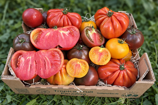 Ochsenherzen bunt Bio regional Bioland aus Bayern