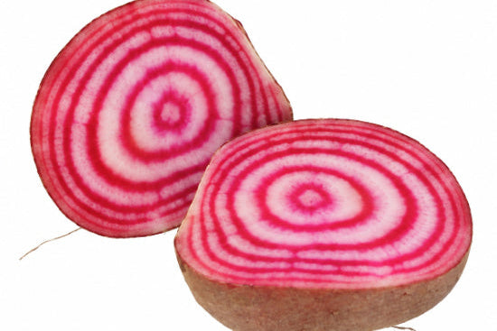 Ringelbete Tonda di Chioggia Bio samenfest Demeter regional