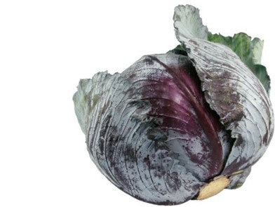 Rotkohl (Blaukraut) bio regional bioland aus Bayern