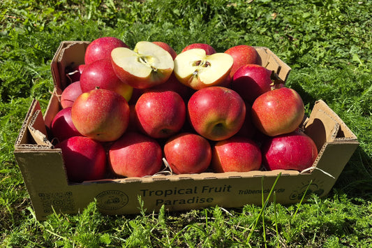 Apfel "Santana" Bio (allergikerfreundl.) regional Bioland Obstgut Erletz