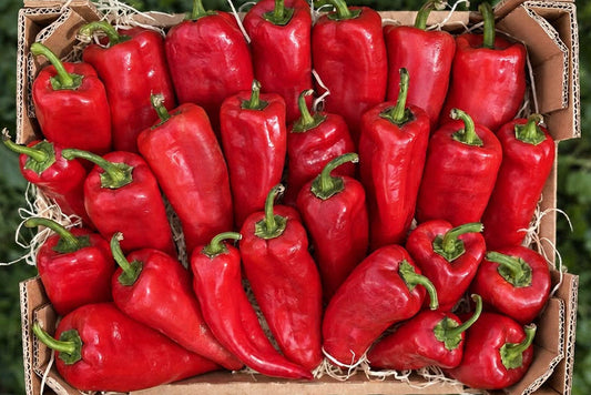 Paprika "Spitz" Bio aus Kreta