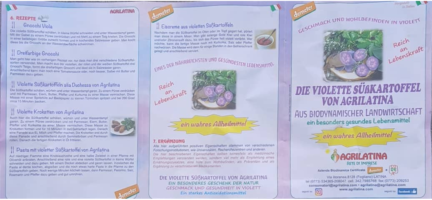 Süsskartoffel violett "Okinawa" Bio & Demeter