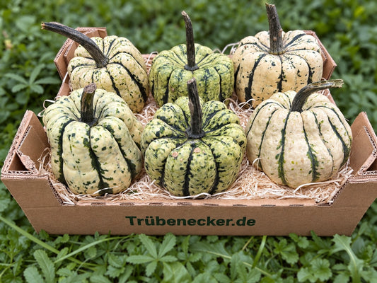 Kürbis "Sweet Dumpling" Bio Naturland regional Billesbergerhof