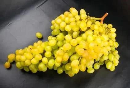 Traube grün kernlos "Early Gold"