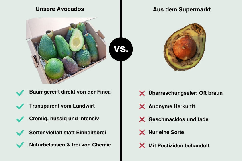 Avocado Mix „Wilde Schönheiten“ von Julian