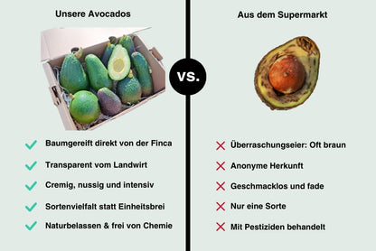 Avocado Mix „Wilde Schönheiten“ von Julian