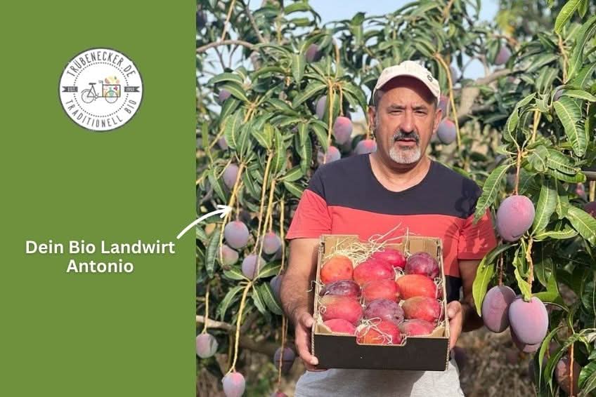 Mango von Antonio Retterbox % 3kg