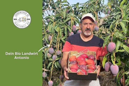 Mango von Antonio Retterbox % 3kg