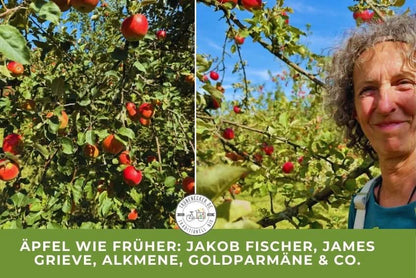 Apfel Entdeckerbox Bio regional 3kg