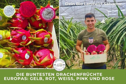 Drachenfrucht Mix bunt Bio Aktionswoche %