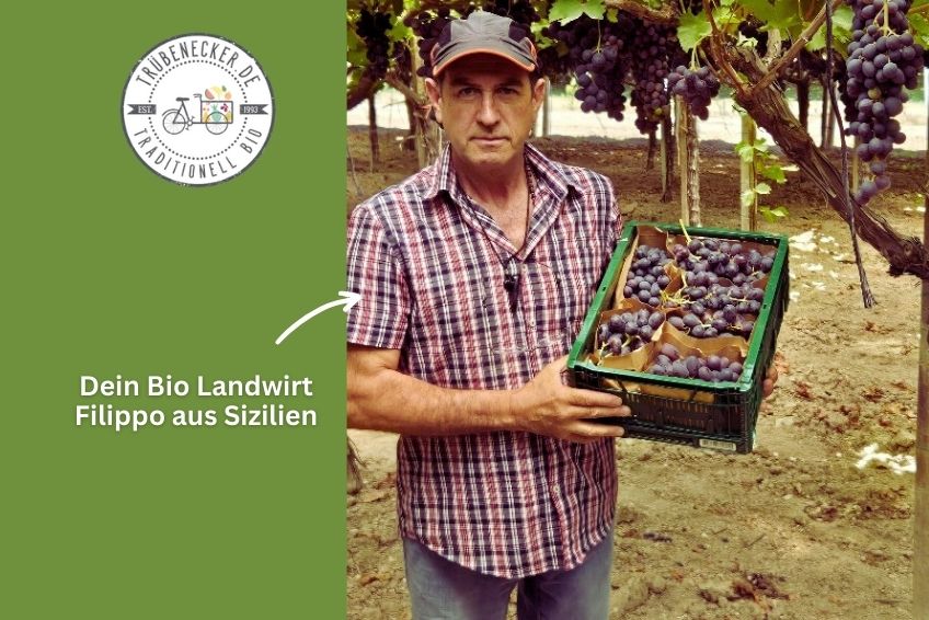 Trauben Mix Bio von Filippo Sonderpreis
