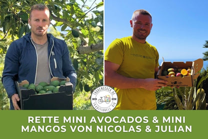 Mini Mango & Avocado Retterbox