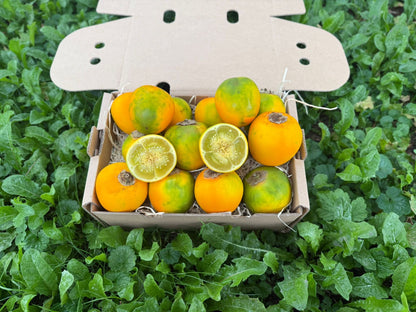 Lulo (Naranjilla)