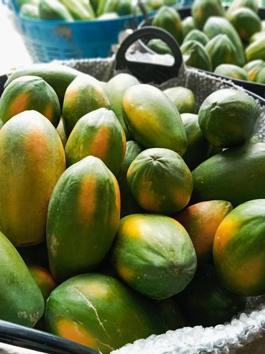 Papaya "Red Lady" reifgeerntet