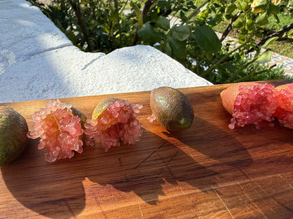 Kaviarlimetten Bio von Julia