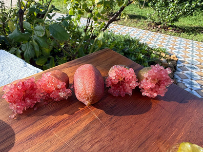 Kaviarlimetten Bio von Julia