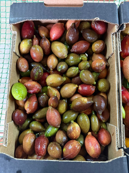 Kaviarlimetten Bio von Julia