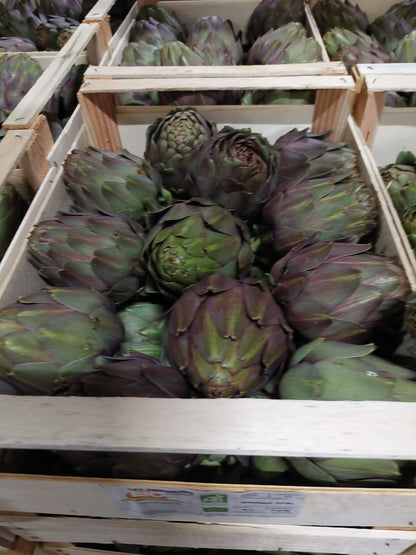 Artischocken Opal Bio Apulien